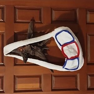 Patriots Red White Blue Crochet Bag Shoulder USA Election Year Purse handmade